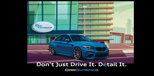 Lees_M2_ganepad - Car Dynamics