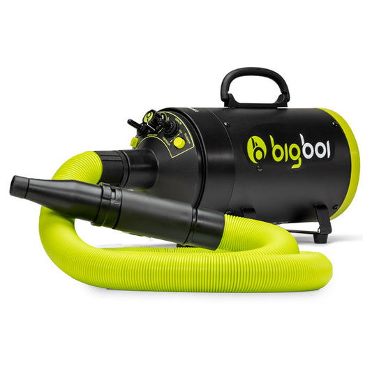 BigBoi BlowR Mini - Touchless Car Dryer image 0