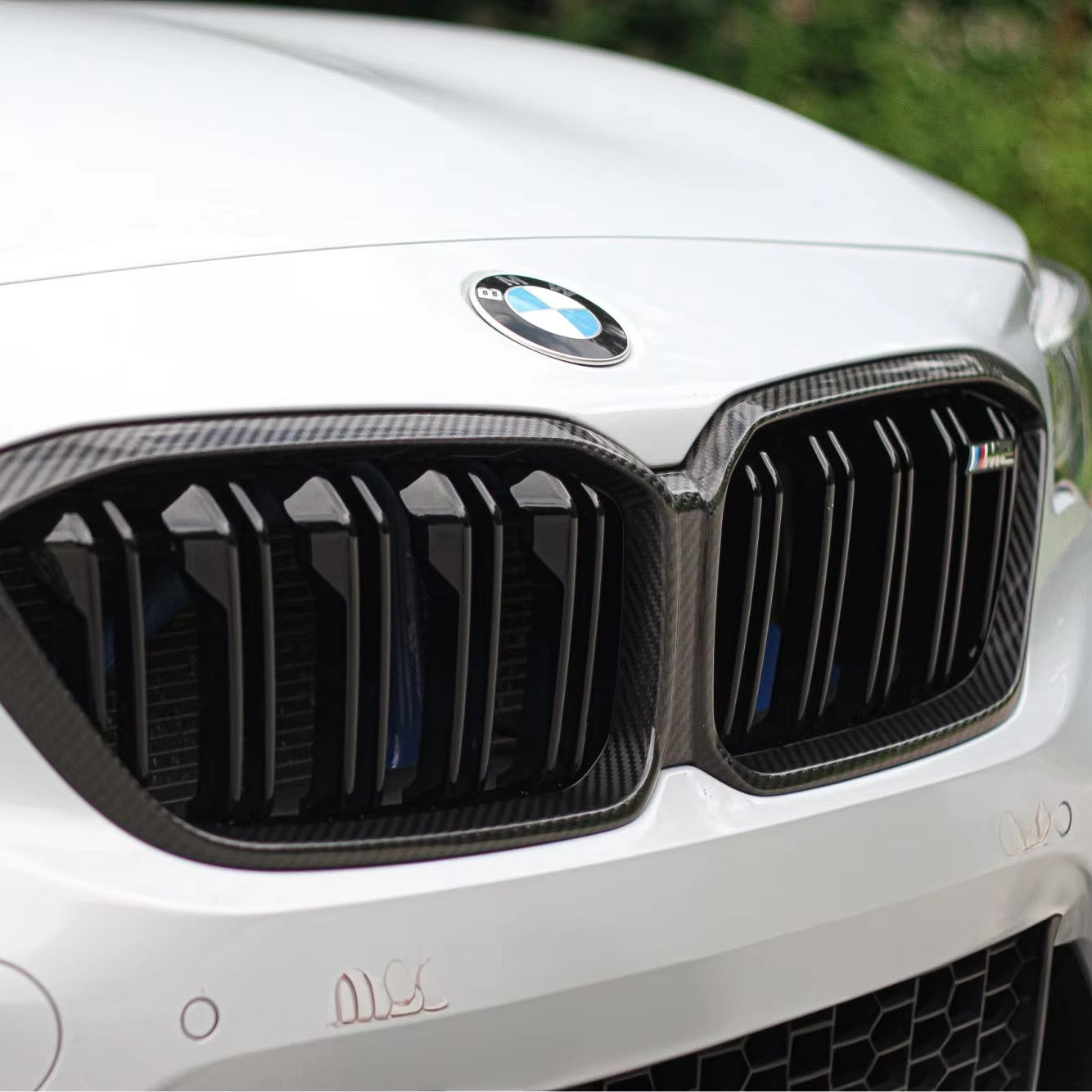 BMW Bespoke Carbon Fibre Front Grille | M2 F87 Edition