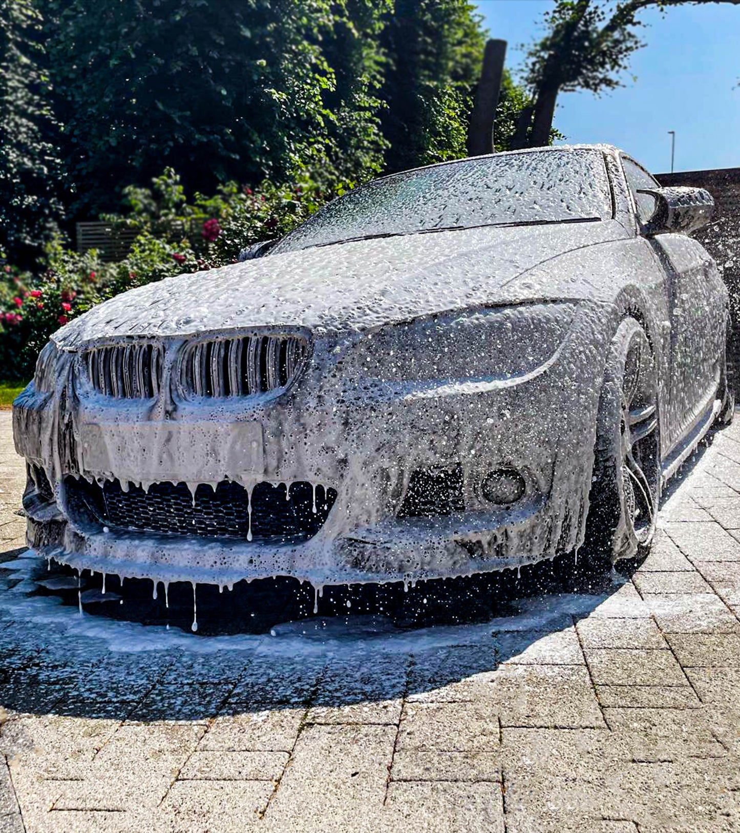 ProAlpine - pH+ Snow Foam