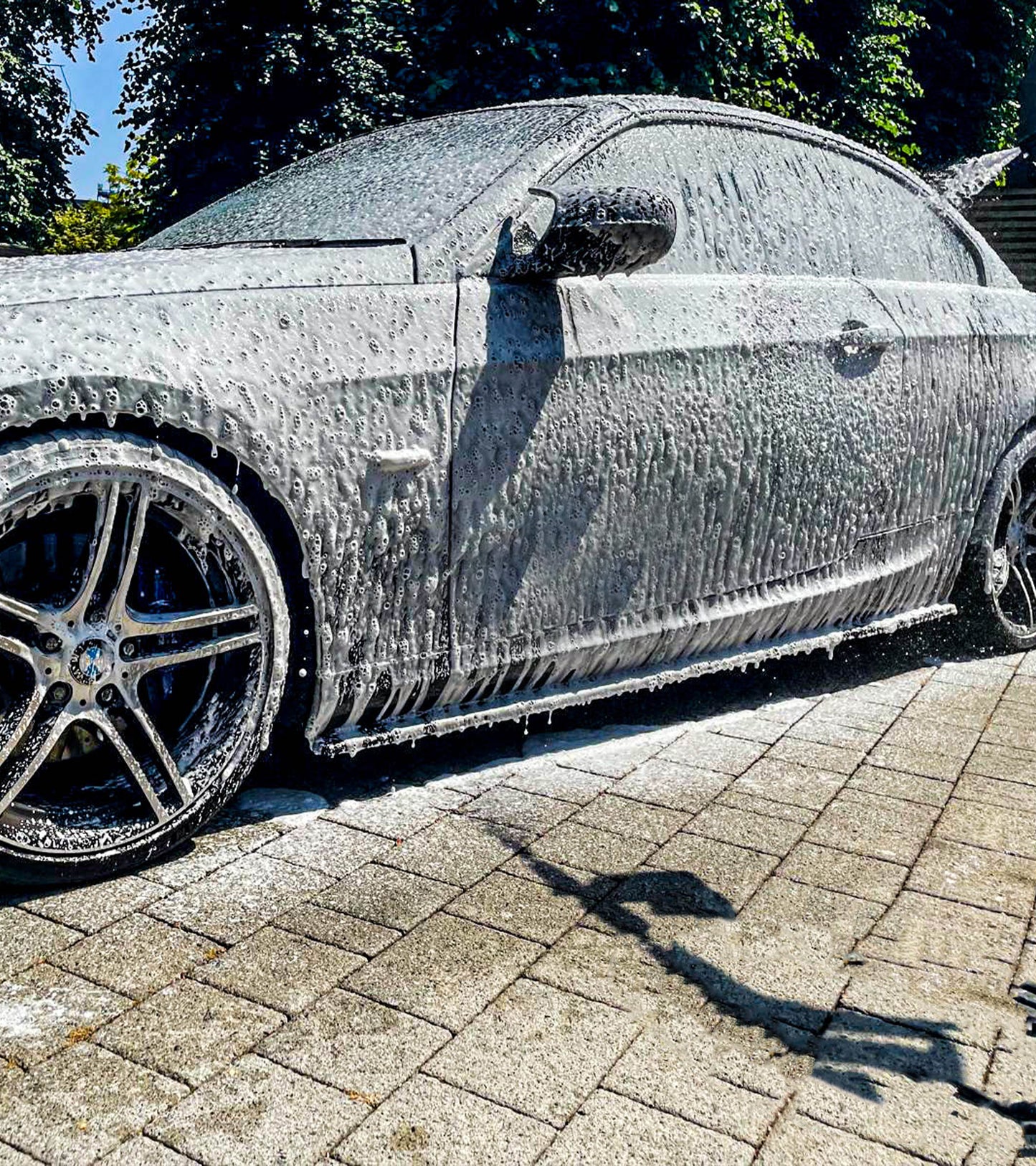 ProAlpine - pH+ Snow Foam