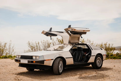 Super Soft Stretch Indoor Car Cover – Delorean