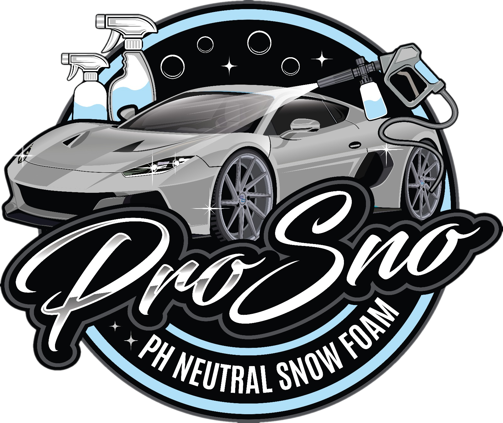ProSno Logo